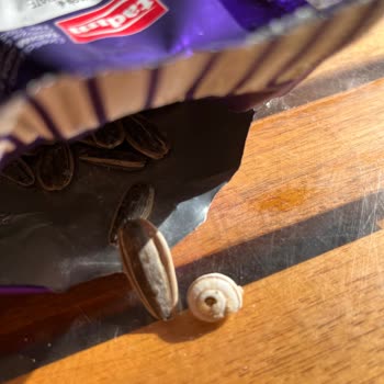 Tadım Çekirdek Salyangoz Şikayeti