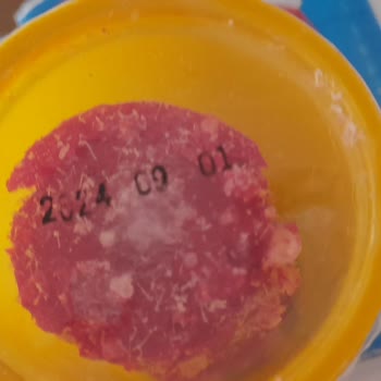 Bozuk Gokidy Play Dough Oyun Hamuru