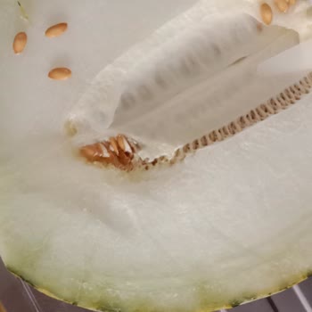 Alo 174 Gıda Hattı A101'nin Gönderdiği Bozuk Ürünler Ve İnsan Sağlığıyla Oynaması