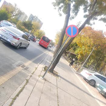 EGO Genel Müdürlüğü Otobüs Şoförü Şikayet Ciyim