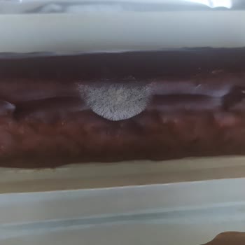 Ülker Albeni Kek Barın Küflü Çıkması