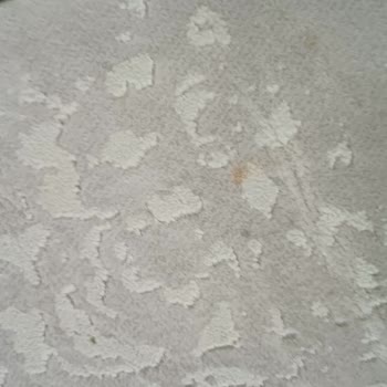 Fırat Halı Yıkama Ankara Halı Yıkama Hizmetinden Memnuniyetsizlik