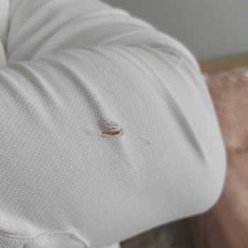 LCW'nin Kumaşlarının Kötü Olması