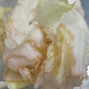 O Ses Çiğköfte Bayat Ürünler