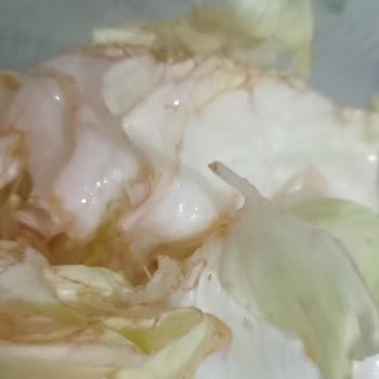 O Ses Çiğköfte Bayat Ürünler