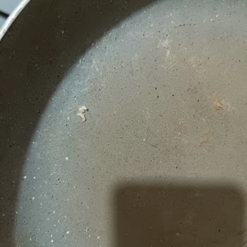 Beko Bulaşık Makinesi Hem Sulu Hem Kirli Çıkartıyor