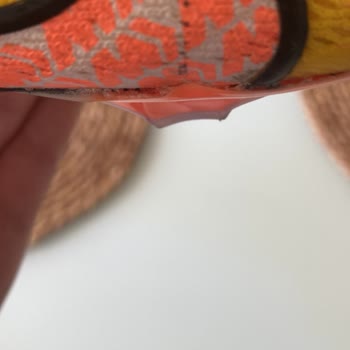 Kramponx.com Kramponx Saçmalığı Resmen