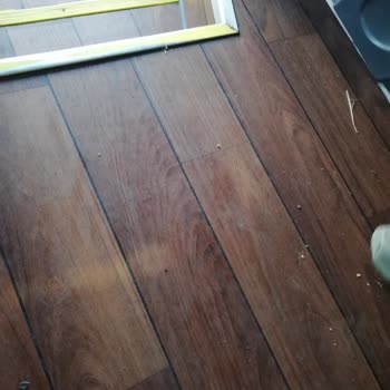 Kamil Koç Vasat Yolculuk. Temizlik Yoksunluğu