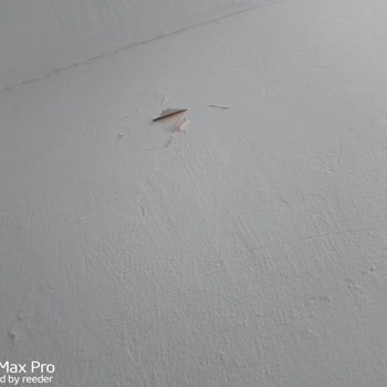 Dyo Marka İç Cephe Boyası Sorunlu