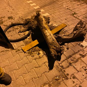 Bursa Büyükşehir Belediyesi Kanalizasyon Kapağı Yok Kaç Aydır