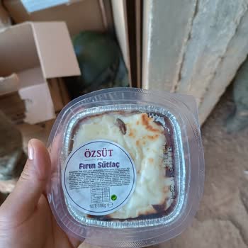 Özsüt Hamam Böcekli Fırın Sütlaç