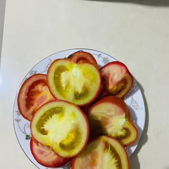 Migros'tan Aldığım Domateslerdeki Sorun