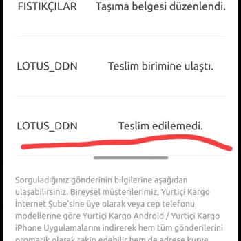 Lotus _DDN Yurtiçi Kargo Çavuşoğlu Şubesi