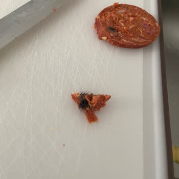 Namet Sucuk Hakkında Şikayetçiyim