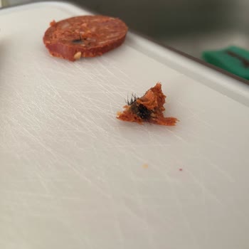 Namet Sucuk Hakkında Şikayetçiyim