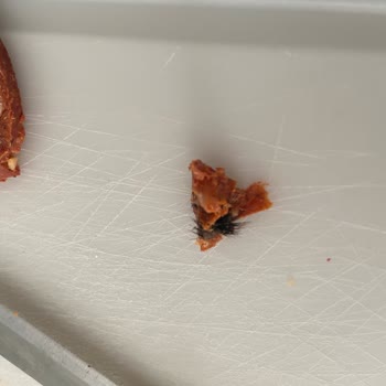 Namet Sucuk Hakkında Şikayetçiyim