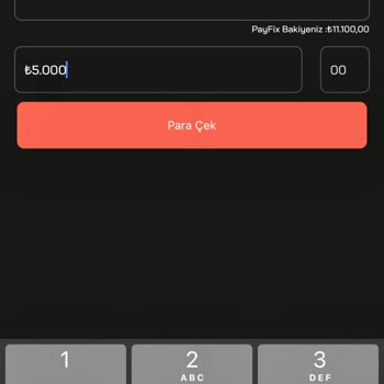 Payfix Hesabımdan Para Çekme Sorunu