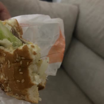 Burger King Hamburgerden Kıl Çıktı