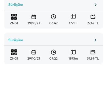 BinBin Haksız Yere 80 TL Ceza Yazdı