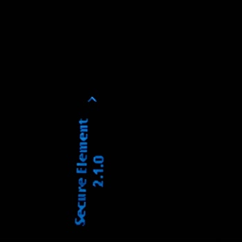 Ledger Nano S Ekran Sorunu