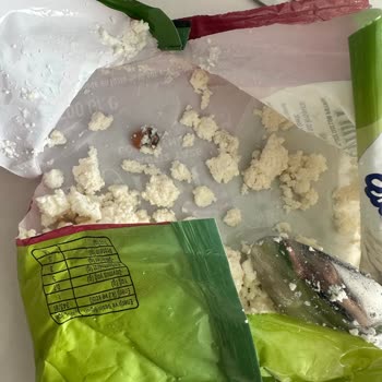 Migros'tan Aldığım Peynir İçinden Çıkan Garip Şey