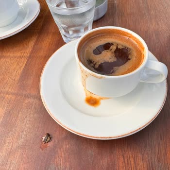 71 Derece Turgutreis 71 Der