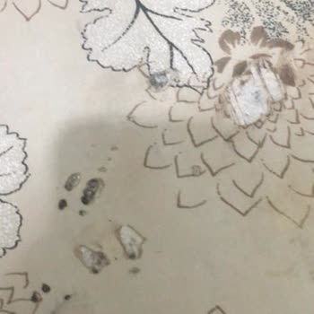 Media Markt Philips Azur 7500 3200 Watt Tabanı Kıyafetleri Yakıyor Ve Su Akıtıyor