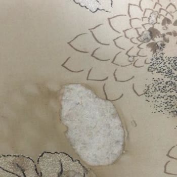 Media Markt Philips Azur 7500 3200 Watt Tabanı Kıyafetleri Yakıyor Ve Su Akıtıyor