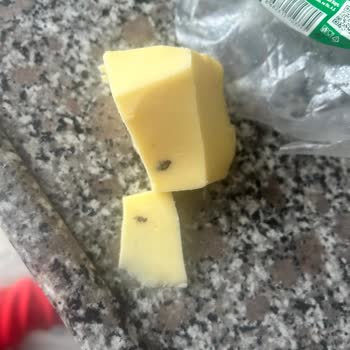 Tarım Kredi Kooperatif Market Kaşar İçinden Ölü Sinek Çıkması