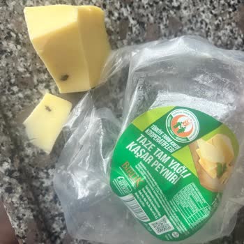 Tarım Kredi Kooperatif Market Kaşar İçinden Ölü Sinek Çıkması