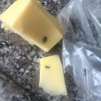 Tarım Kredi Kooperatif Market Kaşar İçinden Ölü Sinek Çıkması