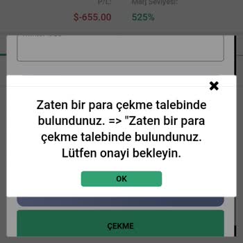 Finmaxft Para Çekemiyorum