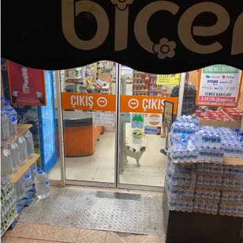 Biçen Market Bir Market Mağazasında Kedi Besleniyor