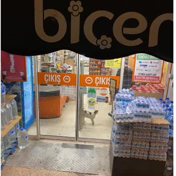 Biçen Market Bir Market Mağazasında Kedi Besleniyor