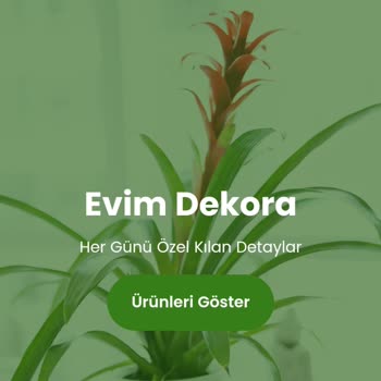Evim Dekora Araba Koltuk Kılıfı Yanlışla İki Kere Sipariş Verdim