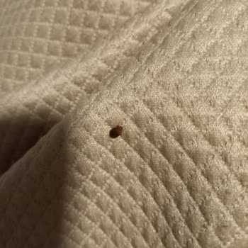 Gaziantep Geziyor Kötü Ankara-Eskişehir Turu