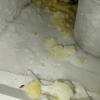 Diriliş Enerji Aldığım 2 Adet Diriliş Energy Drink Patladı