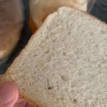 BİM Üründen Ölü Sinek Çıktı