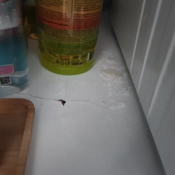 İhlas Ev Aletleri İhlas Arıtma Cihazı Su Kaçırıyor Ve Firma İlgilenmiyor