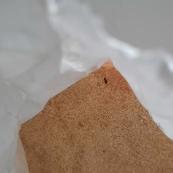 Piyale'nin Böcekli İrmik Satması