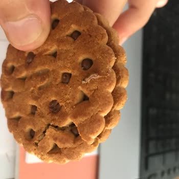 Ülker Probis Ürününde Böcek Çıkması