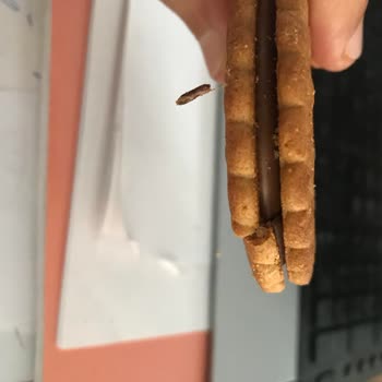 Ülker Probis Ürününde Böcek Çıkması