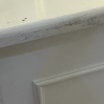 Gala Organizasyon (Trabzon) Nişanda Neler Yapılmamalı!