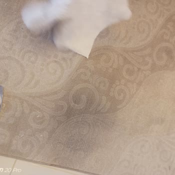 Sultanahmet Halı Yıkama Düzgün Yıkanmadan Teslim Edilen Halı