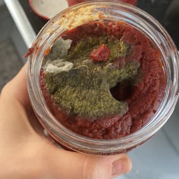 Migros Ambalajı Açılmadığı Halde Küflenmiş Öncü Salça