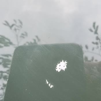 Dacia Boya Kalkması Problemi