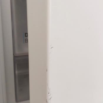 Vestel Buzdolabı Ve Gül Dibi Elektronik