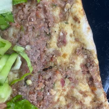 Yemeksepeti Yemeğin İçinden Böcek Çıktı. Sonra Bir Daha Sipariş Verin Dediler