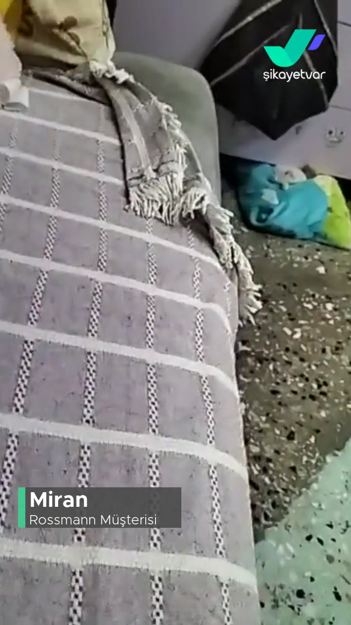 Rossmann Domol WC Köpüğü Akmıyor, Köpük Olmuyor! videonun kapak resmi