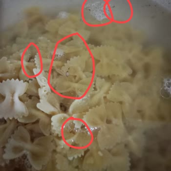 Piyale Makarnadan Böcek Çıkması